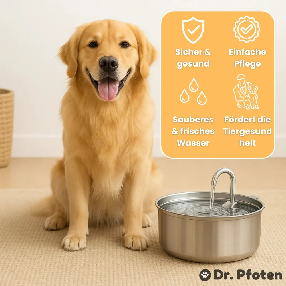 AquaFlow™ - Der antibakterielle Trinkbrunnen mit Filtration