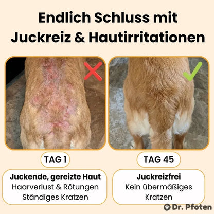 Juckreiz & Allergie Leckerlis