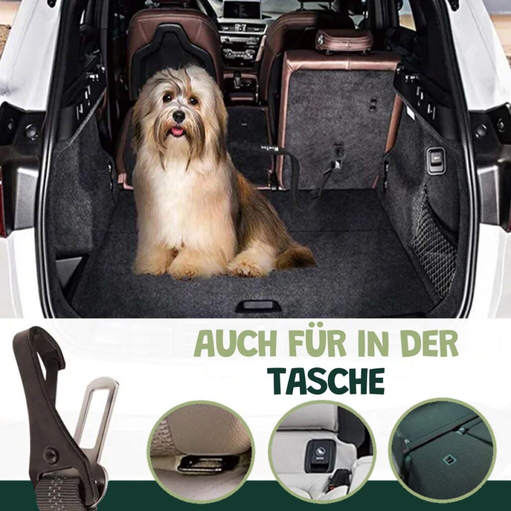 Premium Auto Sicherheitsgurt für Hunde (3-in-1)