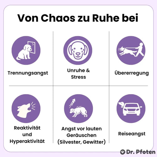 Beruhigung & Relax Leckerlis