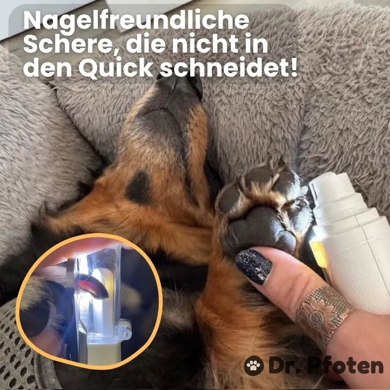 LichtSchere™ Pro – Die 2-in-1 LED-Krallenschere für sichere Pfotenpflege ohne Angst
