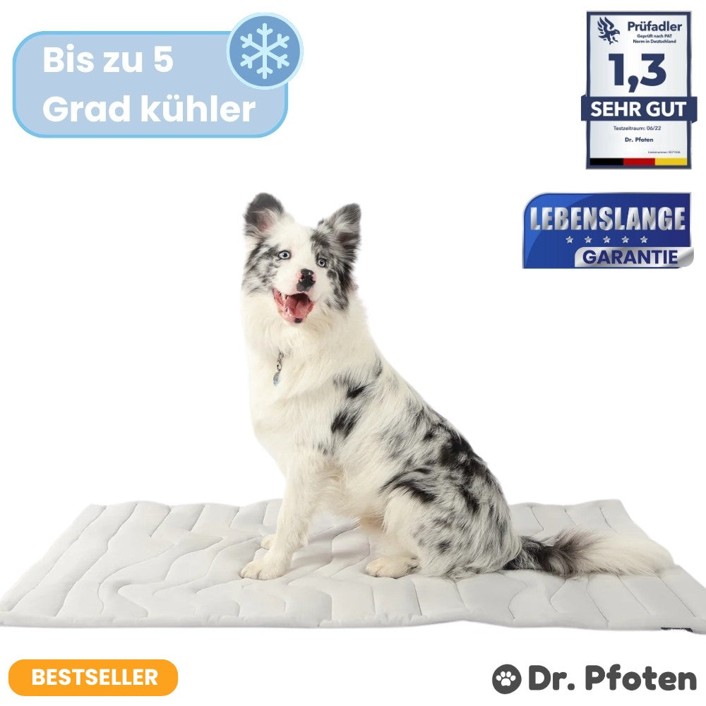 PfotenChill™ - Die innovative Kühlmatte für Hunde