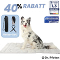 PfotenChill™ Deluxe Set - Die innovative Kühlmatte für Hunde