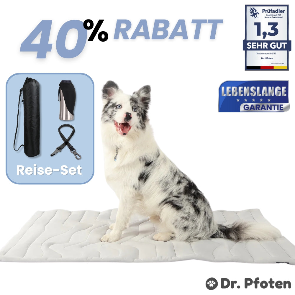 PfotenChill™ Deluxe Set - Die innovative Kühlmatte für Hunde