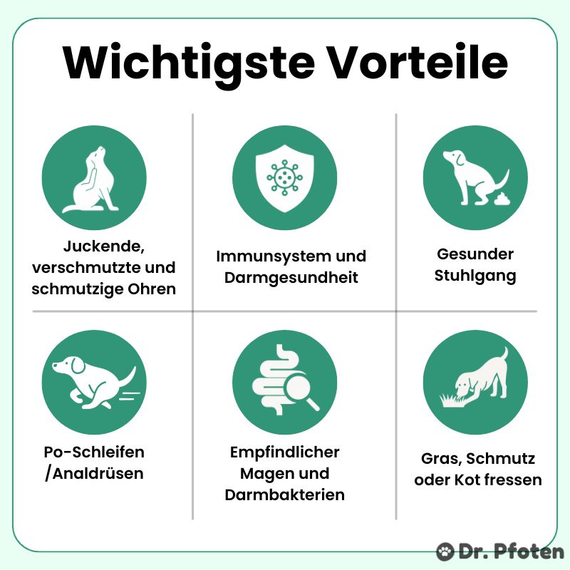 Probiotika & Präbiotika Leckerlis