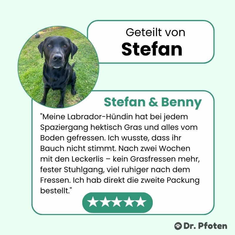 Probiotika & Präbiotika Leckerlis