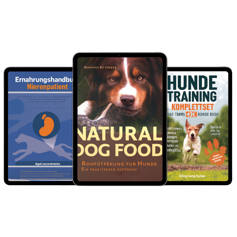 Der komplette Hunde-Guide: Richtig füttern, gesund halten, entspannt erziehen