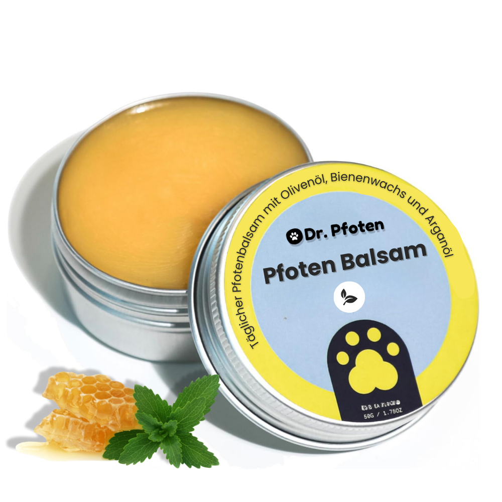 Pfotenbalsam für Hunde – PfotenSchutz™ Naturbalsam