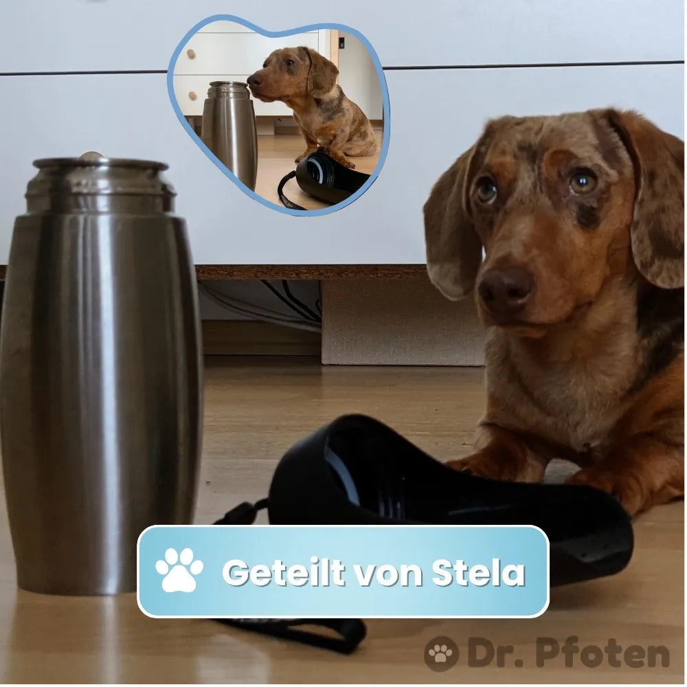 EasySip™ – Die innovative Edelstahl-Hundetrinkflasche
