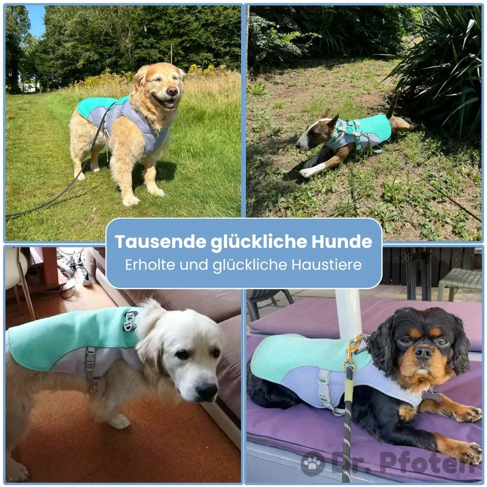 FellBreeze™ – Der sichere Hitzeschutz für jeden Spaziergang