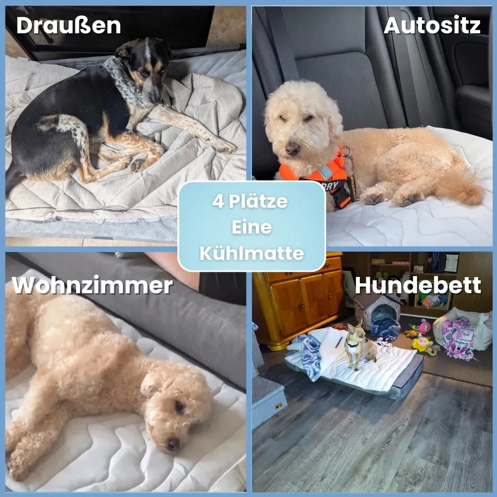 PfotenChill™ Deluxe Set - Die innovative Kühlmatte für Hunde