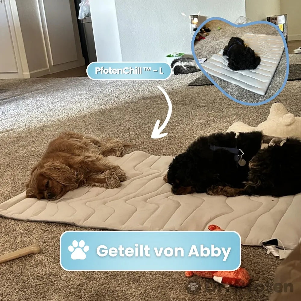 PfotenChill™ Deluxe Set - Die innovative Kühlmatte für Hunde
