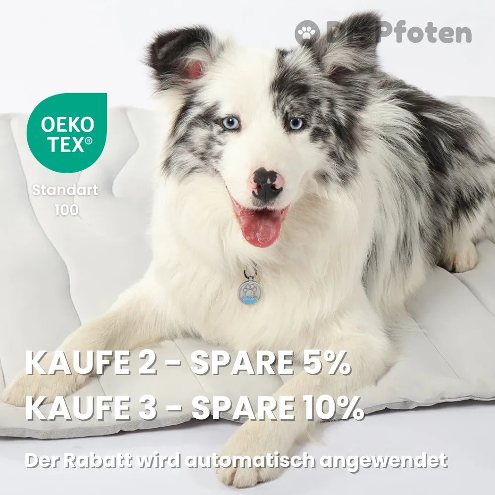 PfotenChill™ Deluxe Set - Die innovative Kühlmatte für Hunde