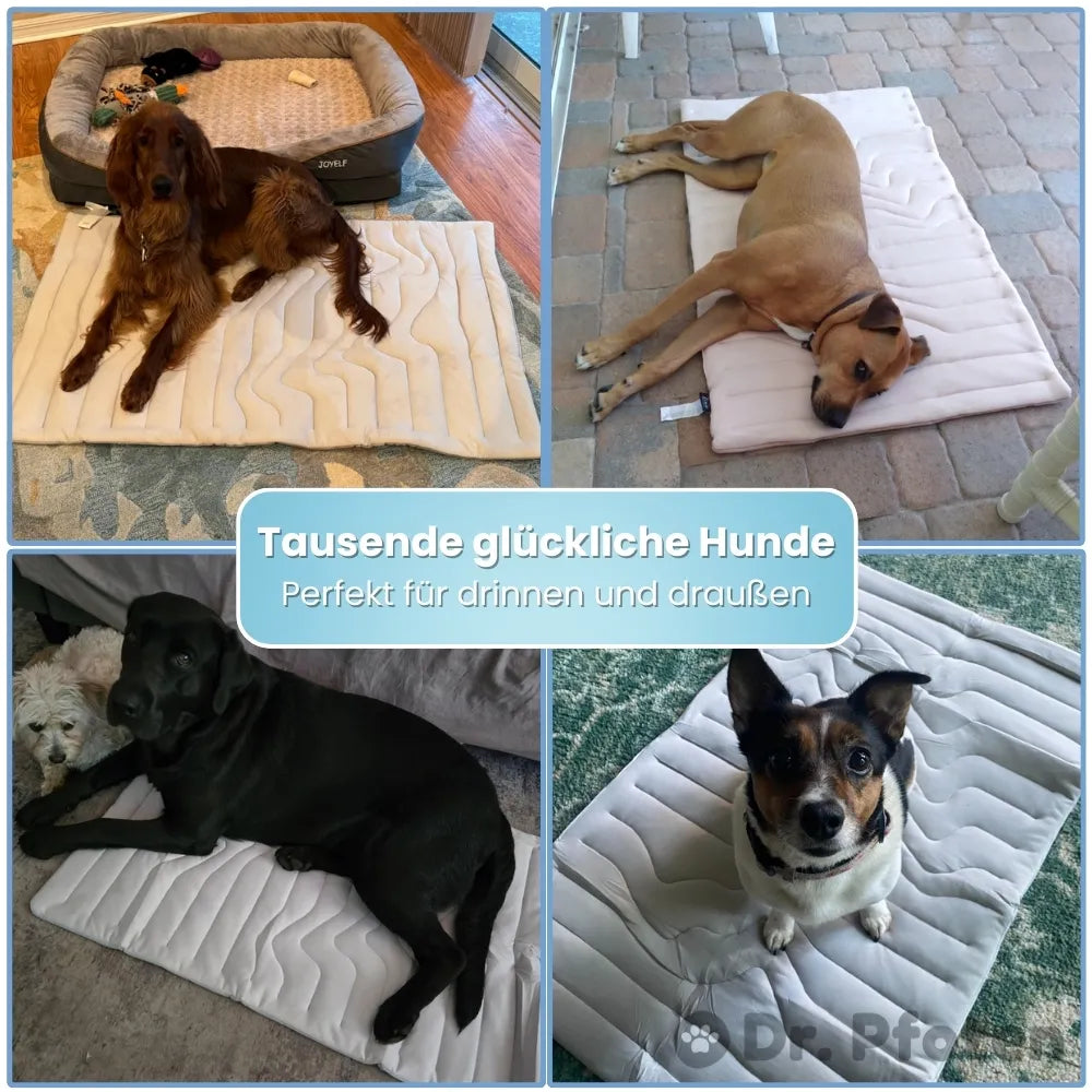PfotenChill™ Deluxe Set - Die innovative Kühlmatte für Hunde